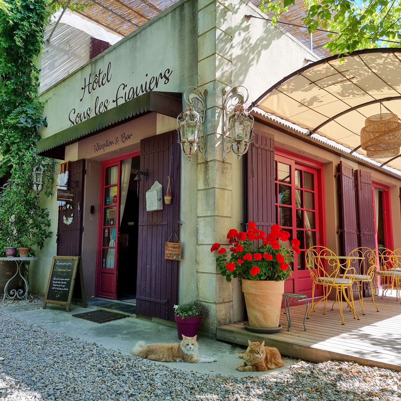 Hôtel Sous les Figuiers