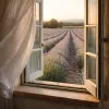 Lavande à Valensole : la fenêtre de mi-juin et pourquoi les photographes ont tout faux
