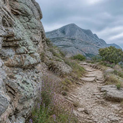 Aix en Provence randonnée : itinéraires d’exception autour de la montagne Sainte-Victoire